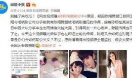 陈翔爆料视频大全集最新,揭秘娱乐圈不为人知的幕后故事