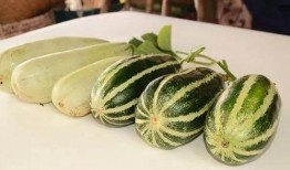 网红瓜妈吃瓜,揭秘网红圈那些不为人知的幕后故事