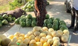 58热门吃瓜免费,揭秘网络热议背后的真相与趣味