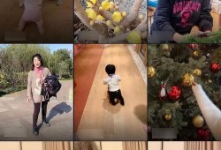 两个孩子爆料视频播放,两个孩子爆料视频背后的惊人真相