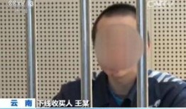 被记者爆料的大案子视频,视频揭露惊人内幕
