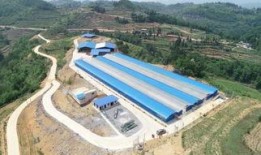 纳雍新闻爆料最新消息视频,视频揭露惊人真相！