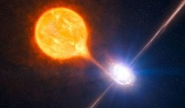 南阳黑洞爆料事件视频,揭秘事件背后惊人真相