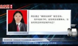 东南视直播在线观看,实时精彩，一键尽享