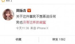 瑞安爆料新闻最新消息今天,最新新闻事件深度解析