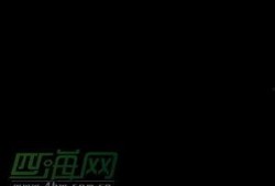 爆料周立波视频完整版,事件真相与争议焦点全解析