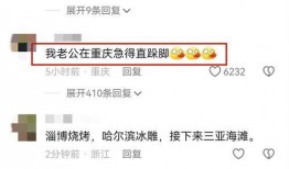 爆料三亚视频最新版,揭秘事件真相与幕后黑幕