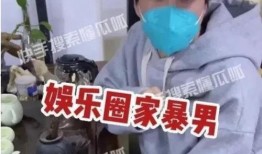娱乐圈家暴男爆料,揭开明星家庭暴力内幕