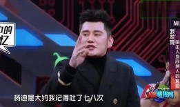 杨迪综艺爆料钱枫视频大全,揭秘视频大全背后的惊人真相