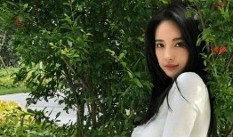 娱乐圈爆料潘南奎,揭秘网红背后的真相