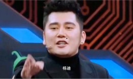 杨迪综艺爆料钱枫视频大全,揭秘视频大全背后的惊人真相