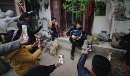 村民修桥爆料视频,见证团结力量，共筑幸福桥梁