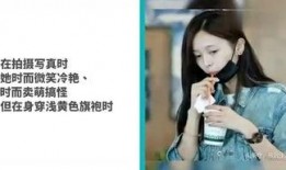 小狐狸娱乐爆料视频,揭秘娱乐圈幕后故事