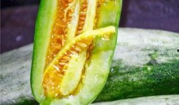 网红瓜都是谁吃的啊,揭秘网红瓜背后的神秘食客