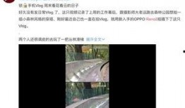 视频爆料达人是真的吗,真相究竟如何？