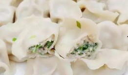 鲅鱼饺子爆料视频教程下载,视频详解，轻松学会家常美味