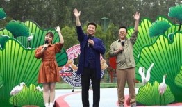 国风伙伴最新爆料视频,揭秘神秘国风文化之旅