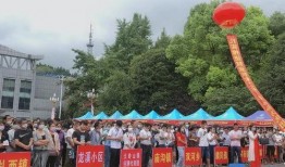 东莞大岭山爆料新闻最新,最新爆料揭示惊人真相