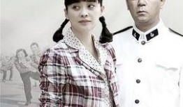 父母爱情电视剧全集在线观看,重温经典，共度温馨时光