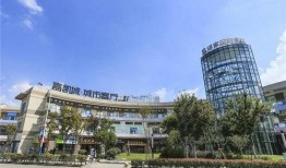 网红湾最新爆料新闻,揭秘娱乐圈最新热点事件