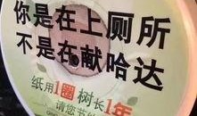 卫生纸爆料视频播放网站,热门内容盘点与行业洞察