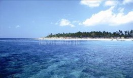 巴厘岛最新爆料新闻