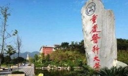 重庆医科大学最新爆料,揭秘科研新进展与未来规划