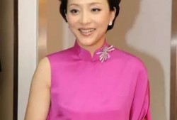 主持人爆料杨澜视频大全,主持人爆料背后的精彩瞬间