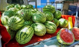 晋城网红吃瓜事件真相,揭秘背后真相与网络舆论风暴