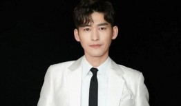 张翰娱乐大爆料,揭秘明星幕后故事与真实生活