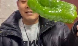 油管吃瓜网红,揭秘网络红人的幕后生活