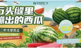 58热门吃瓜免费,揭秘网络热议背后的真相与趣味