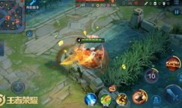 王者猪八戒爆料视频下载,王者世界背后的秘密大公开