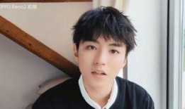 爱豆爆料王俊凯视频大全,揭秘偶像背后的真实故事