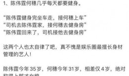 何穗爆料陈伟霆视频播放,引发网友热议