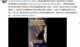 小胖网红爆料事件视频大全,视频大全揭秘幕后真相