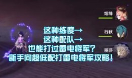 雷电将军内部爆料视频,内部爆料视频深度解析