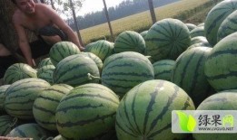 滕州网红吃瓜事件最新,揭秘背后真相与网络舆论风暴