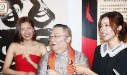 大师爆料陈自瑶视频全集,大师爆料背后的真实故事