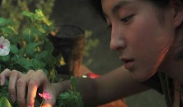 伦理电影福利在线观看,在线探索电影中的道德困境与人性光辉