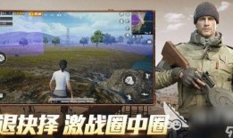 和平精英粉马最新爆料,揭秘游戏新内容与更新动态