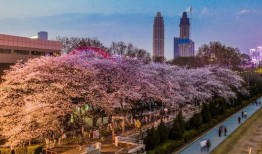 张掖抖音网红吃瓜,揭秘美食背后的故事