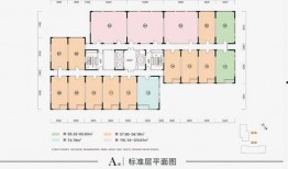 古董商电竞皮最新爆料,古董界新宠电竞皮背后的故事