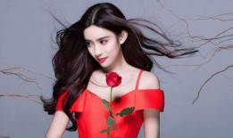 娱乐大爆料孟子义,娱乐大爆料背后的真相与争议