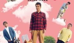 柴公园在线观看,在线观看，探索自然之美