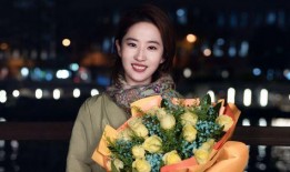 爆料玫瑰的故事视频,揭秘爆料视频背后的传奇故事