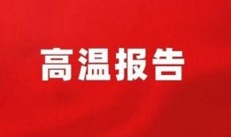 平湖最新爆料新闻报道网,揭秘背后惊人真相