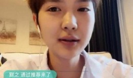 小磊直播爆料视频,独家爆料视频内容大起底