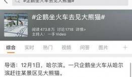 热点爆料话题大全最新版,最新版大全深度解析