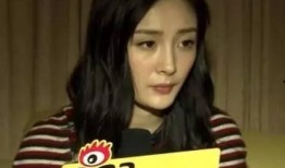 采访爆料杨幂是哪一期视频